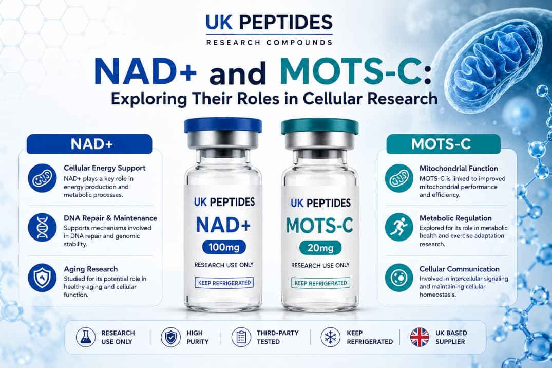 NAD+ and MOTS-C